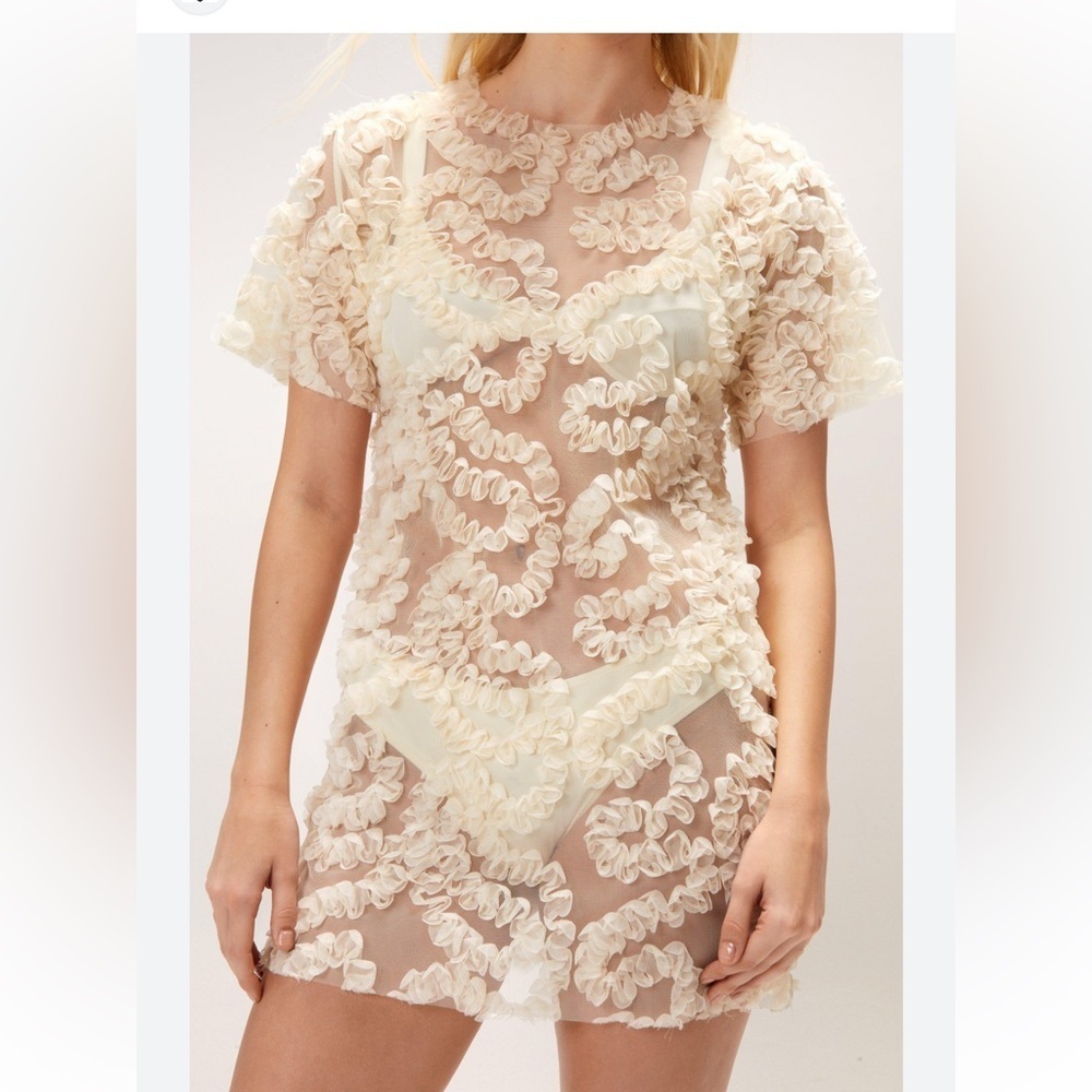 Women’s mesh Mini Dress/Oversized Top